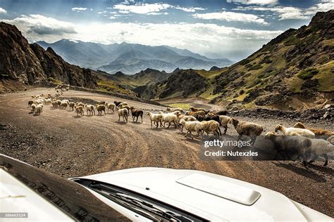 Xinjiang Silk Road Adventures High-Res Stock Photo - Getty Images