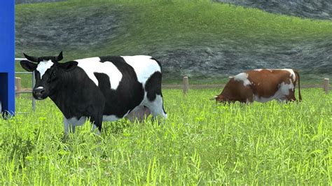 Farming Simulator 2013 | Animals - YouTube