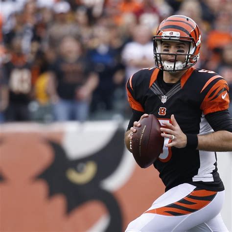 Andy Dalton's Injury Doesn't Sink Cincinnati Bengals' Playoff Aspirations | News, Scores ...