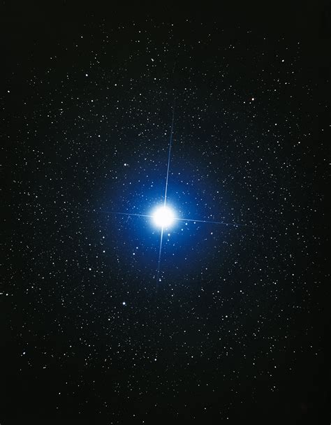 Sirius, the Dog Star, Sits Glitteringly in the Night Sky This Week | Space