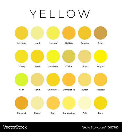 Yellow Color Shades Swatches Palette With Names Vector Image | The Best Porn Website