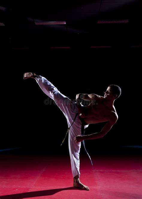 Taekwondo Side Kick Royalty Free Stock Photos - Image: 23889368