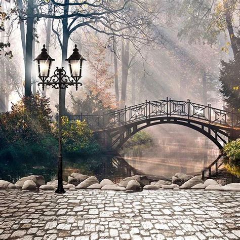 2019 Sunshine Through Trees Wedding Scenic Photography Backdrops Vintage Lamp Bridge River Stone ...