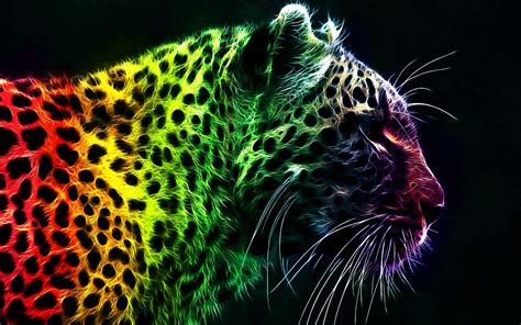 Rainbow Leopard wallpaper | 1920x1200 | #10903