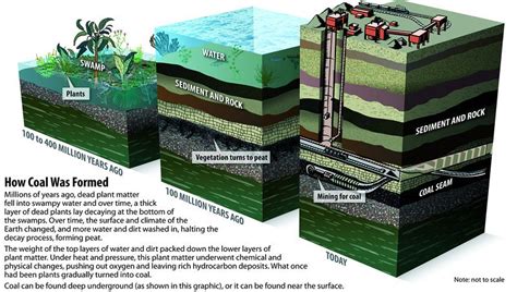 Coal | Types of Coal: Peat, Lignite, Bituminous Coal & Anthracite Coal ...