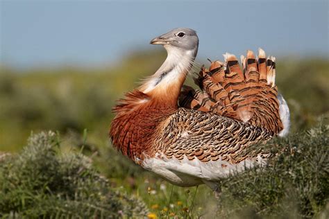 Doğa Derneği | Nature is us!