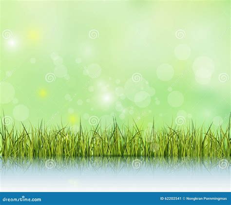 Green Grass with Reflection on Water Floor.Bokeh Effect on Light Green and Blue Pastel Color ...