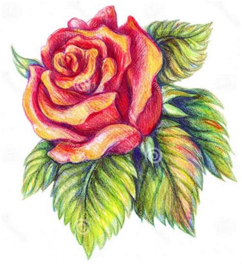 Beautiful Drawing Pictures Of Flowers at GetDrawings | Free download