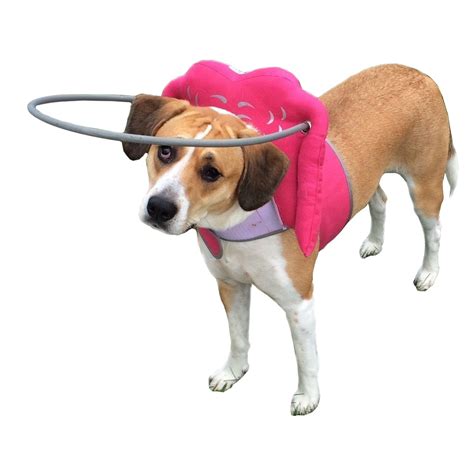 Muffin’s Halo Blind Dog Harness Guide Device – Help for Blind Dogs or Visually Impaired Pets to ...