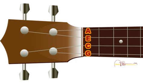 Which Ukulele String Is The Thickest? Uke Like The Pros, 44% OFF