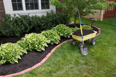 How To Choose The Best Mulch for Your Garden | Garden lovers