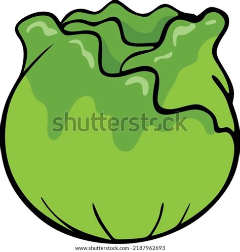 Cabbage Cartoon Vector Drawing Art Fresh Stock Vector (Royalty Free) 2187962693 | Shutterstock