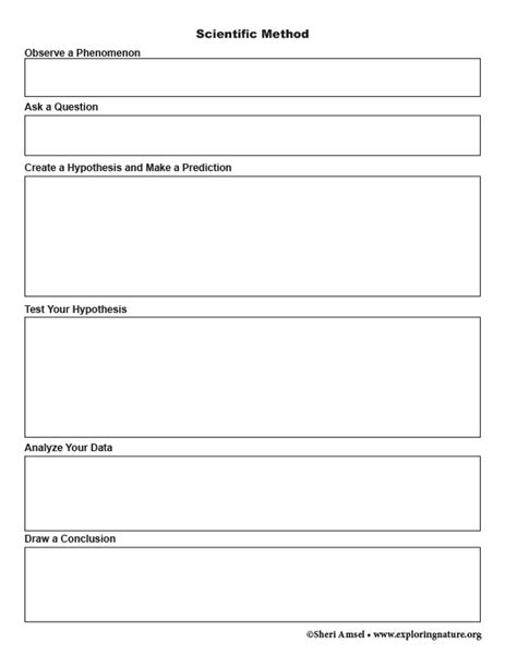 Scientific Method Graphic Organizer