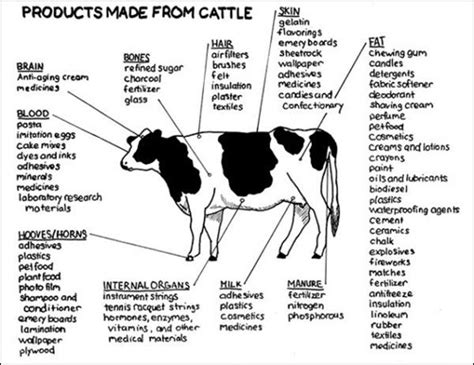 Cow Products