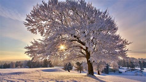 Winter Landscape Wallpaper : Winter Landscapes Wallpapers - Wallpaper ...