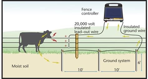 50 How to Wire An Electric Fence Diagram Rj0w | Fence charger, Electric fence, Electric fence ...