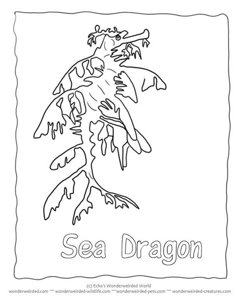 Sea Dragon Coloring Pages at GetDrawings | Free download