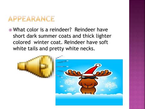 PPT - Reindeer Fun Facts PowerPoint Presentation, free download - ID:2073915