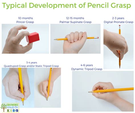 Typical-Pencil-Grasp-Development-FB2 - Growing Hands-On Kids