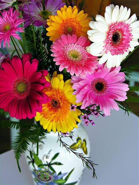 Gerbera Daisy Bouquet Photograph by Marilyn Hunt