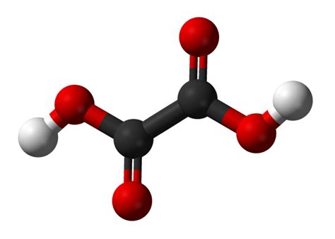 Oxalic Acid and Oxalates: Health Effects and Kidney Stones | YouMeMindBody