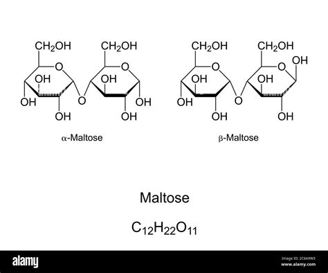 Chemical Structure Of Maltose