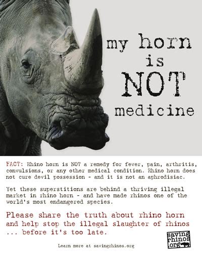 Free Rhino Poaching Awareness Poster: "My Horn is NOT Medicine" | Rhino ...