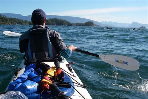 Orca Kayaking Vancouver Island | Spirit of the West Adventures