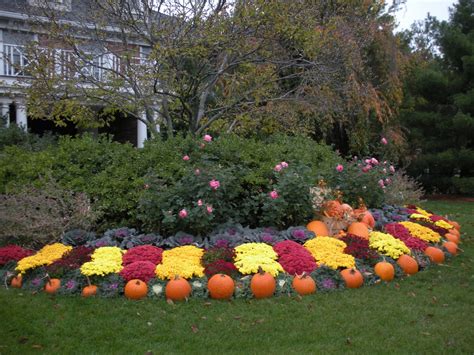 Fall Blooming Perennial Flowers in NJ