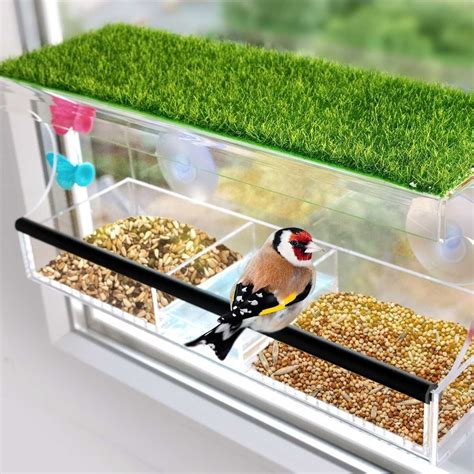 Varieties of Window Bird Feeders: Which One is Right for Your Home Birds? - Prim Mart