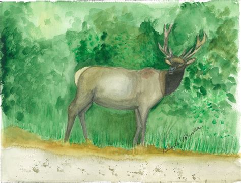 Elk Watercolor Painting, Elk Watercolor Painting Print, Elk Watercolor ...