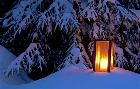 Wallpaper winter, light, snow, tree, spruce, lantern, light, winter, snow, tree, lantern images ...