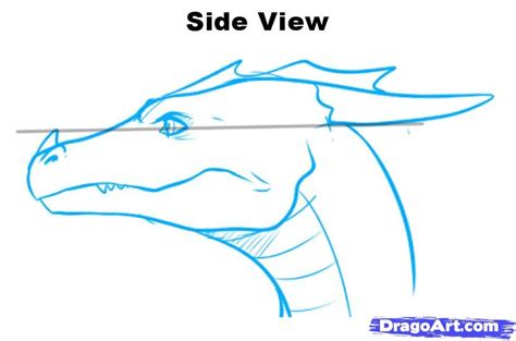 Dragon Face Side View