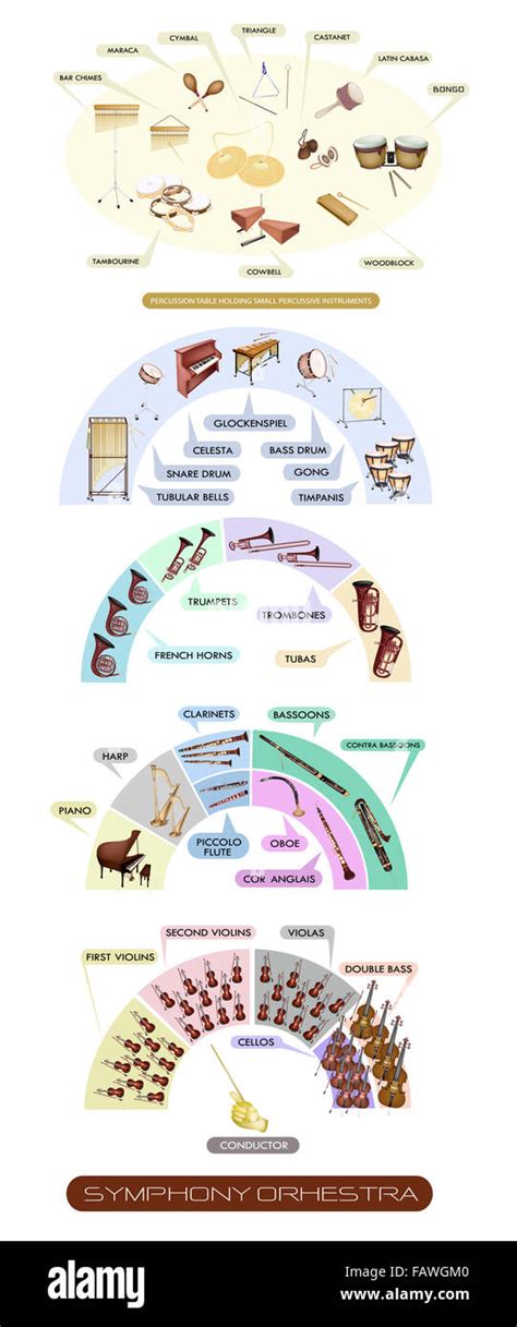 Symphony Orchestra Layout