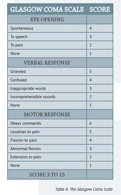 How to perform a Neurological Assessment | DAN Southern Africa