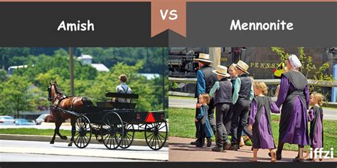 Amish vs. Mennonite - Diffzi