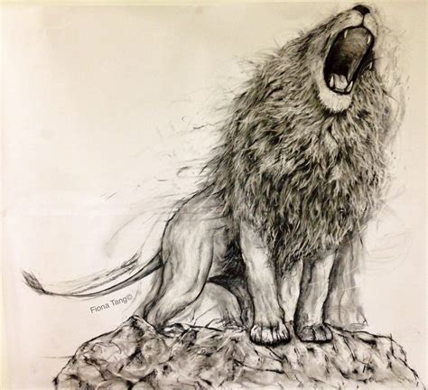 Lion Realistic Drawing at GetDrawings | Free download