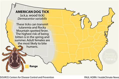 Infographic: American Dog Tick: Range, Diseases and Behavior - Inside Climate News