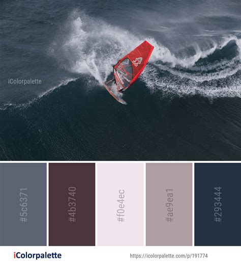 Color Palette Ideas from Windsurfing Water Surface Sports Image | iColorpalette