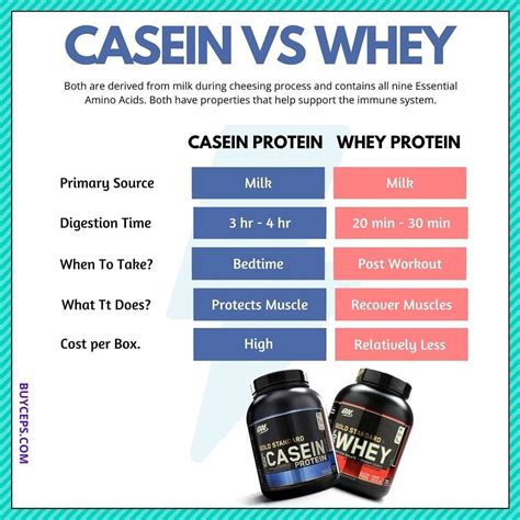 Whey vs Casein Protein Powder - Professional Personal Trainer Association | PROPTA