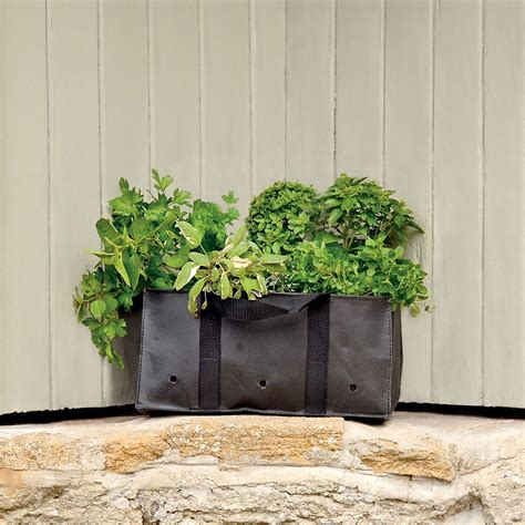 Grow Bags - Tomatoes, Peppers, Herbs and Potatoes | The Green Head