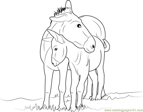 Mother and Baby Donkey Coloring Page for Kids - Free Donkey Printable Coloring Pages Online for ...