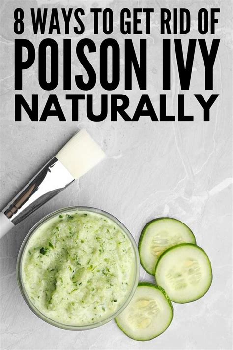 8 Natural Poison Ivy Remedies for Fast Relief That Lasts | Poison ivy remedies, Poison ivy cure ...