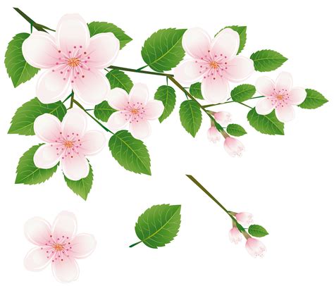 Free Flower Branches Cliparts, Download Free Flower Branches Cliparts png images, Free ClipArts ...