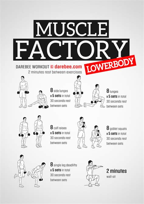 Muscle Factory Lowerbody