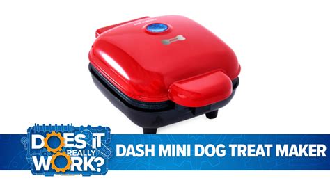 Dash Mini Dog Treat Maker, Does It Really Work? | wnep.com