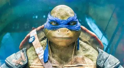 Teenage Mutant Ninja Turtles Names: The Origins And Meanings