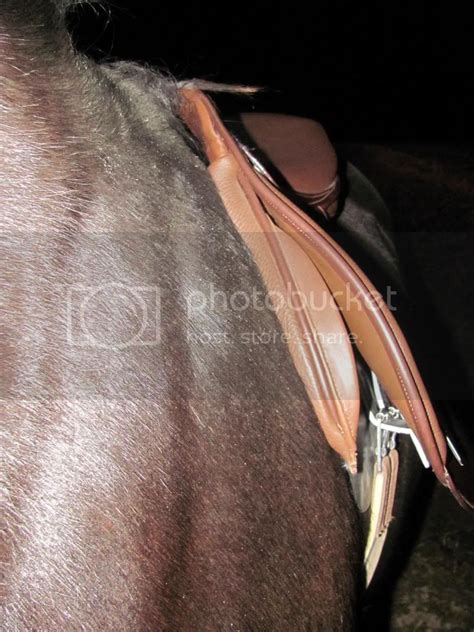 saddle fit help | The Horse Forum