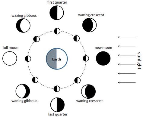 File:Moon Phase Diagram for Simple English Wikipedia.GIF - Wikipedia