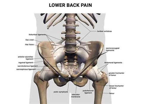 Sharp Stabbing Pain in Lower Left Side of Back - Physical Therapists NYC